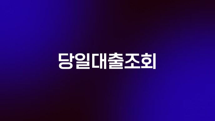 당일대출조회