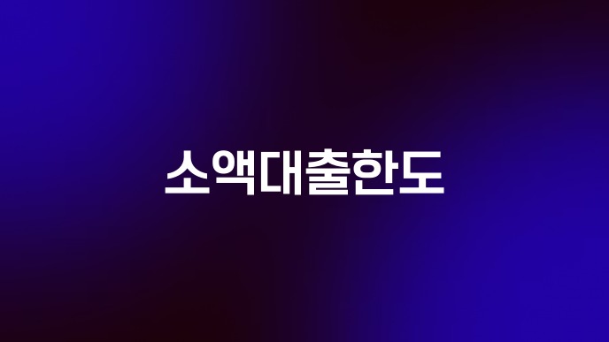 소액대출한도