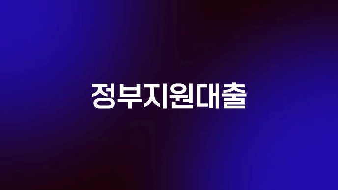정부지원대출